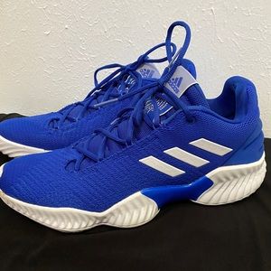 Adidas Pro Bounce shoes